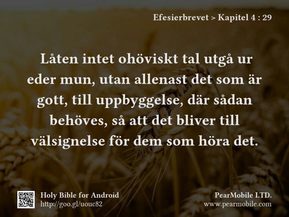 Efesierbrevet, Kapitel 4:29